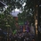 FESTIVALIO RECENZIJA | Lietuviškojo Monmartro vudstokas: „Tilto namų“ festivalis Vilniuje